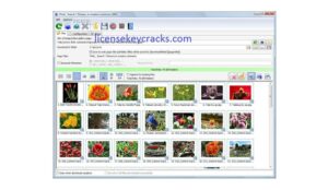 Bulk Image Downloader 5.96.0 Crack Plus Keygen Free 2021 Download
