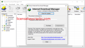 IDM 6.38 Build 25 Crack Plus Product Number Free Download