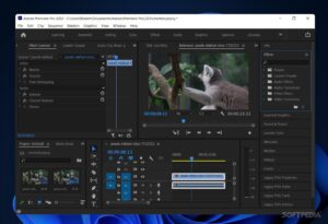 Adobe Premiere Pro CC 2022 22.3.1 Crack Serial Key Download 