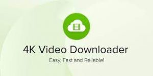 4K Video Downloader 4.21.5.5010 Crack With Keygen Free Download 2022